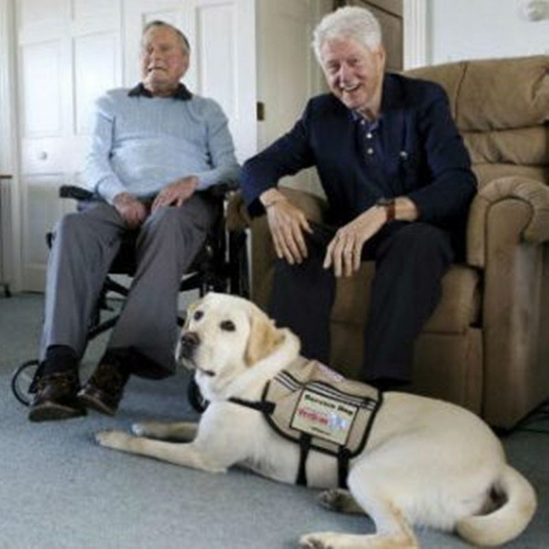 Former President Bush welcomes new service dog to Kennebunkport compound